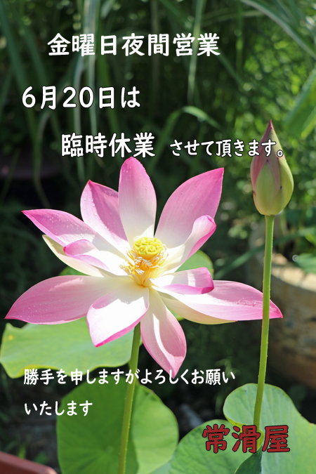 ファイル 257-2.jpg
