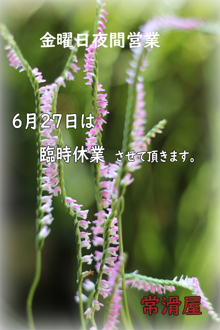 ファイル 258-1.jpg